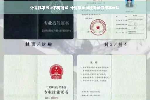 计算机中级证书有哪些-计算机全国统考证书样本图片