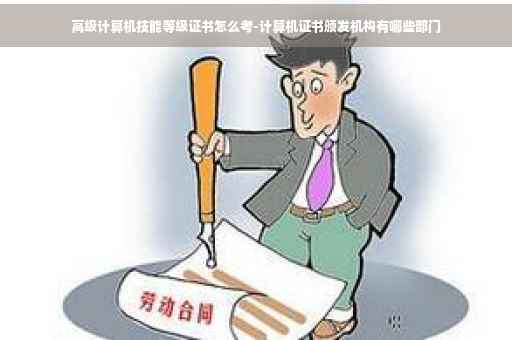 高级计算机技能等级证书怎么考-计算机证书颁发机构有哪些部门