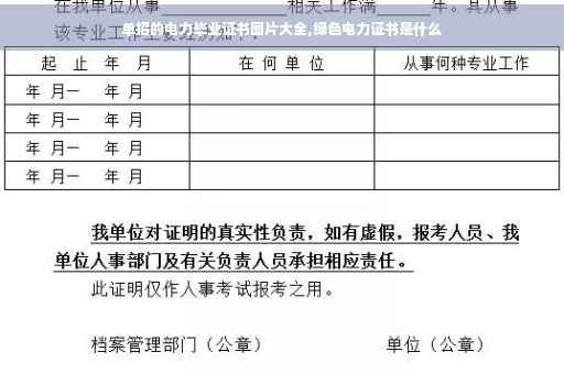 单招的电力毕业证书图片大全,绿色电力证书是什么