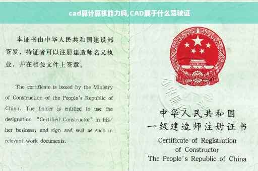 cad算计算机能力吗,CAD属于什么驾驶证