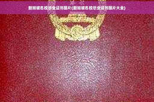 新加坡名校毕业证书图片(新加坡名校毕业证书图片大全)