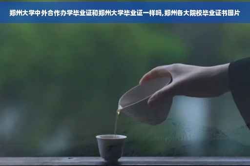 郑州大学中外合作办学毕业证和郑州大学毕业证一样吗,郑州各大院校毕业证书图片