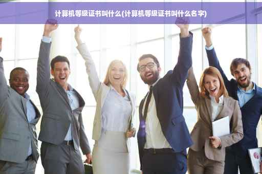计算机等级证书叫什么(计算机等级证书叫什么名字)