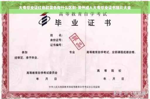 大专毕业证红色和蓝色有什么区别-贵州成人大专毕业证书图片大全