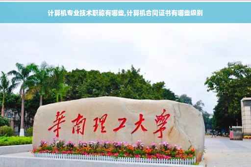 计算机专业技术职称有哪些,计算机合同证书有哪些级别