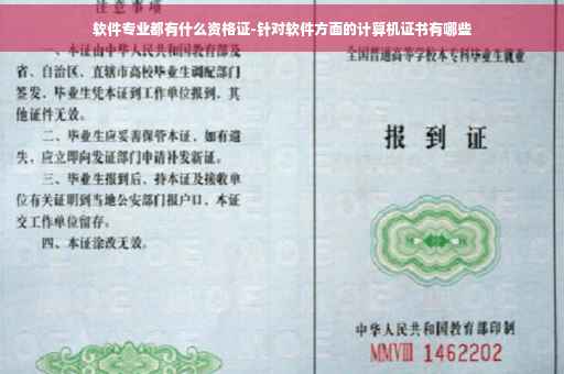 软件专业都有什么资格证-针对软件方面的计算机证书有哪些