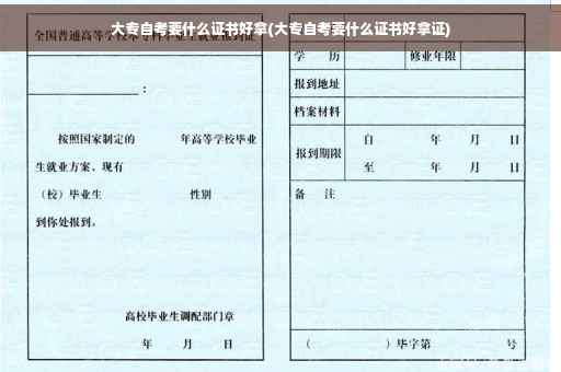 大专自考要什么证书好拿(大专自考要什么证书好拿证)