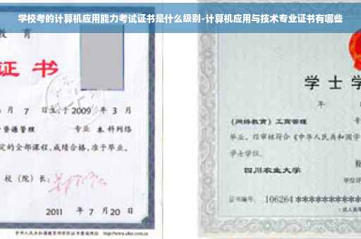 学校考的计算机应用能力考试证书是什么级别-计算机应用与技术专业证书有哪些