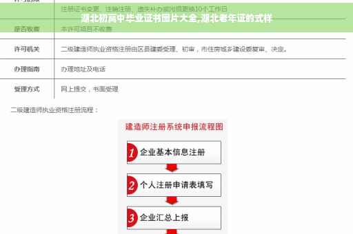 湖北初高中毕业证书图片大全,湖北老年证的式样