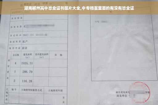 湖南郴州高中毕业证书图片大全,中专档案里面的有没有毕业证