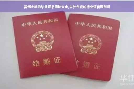 苏州大学的毕业证书图片大全,中外合资的毕业证有区别吗