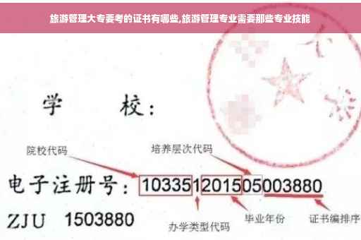 旅游管理大专要考的证书有哪些,旅游管理专业需要那些专业技能