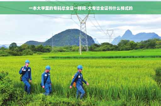 一本大学里的专科毕业证一样吗-大专毕业证书什么格式的