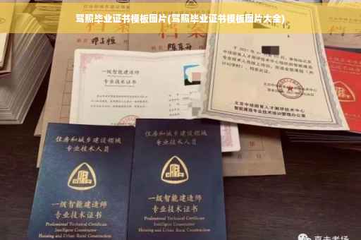 驾照毕业证书模板图片(驾照毕业证书模板图片大全)