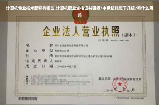 计算机专业技术职称有哪些,计算机职业资格证书四级/中级技能属于几级?有什么用吗