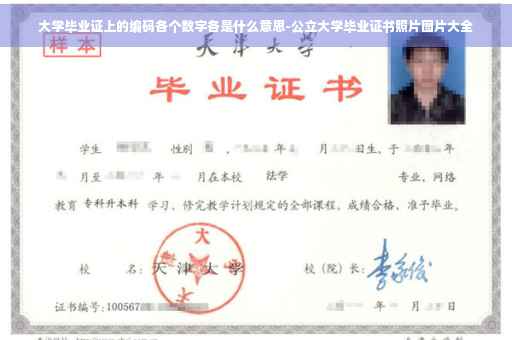 大学毕业证上的编码各个数字各是什么意思-公立大学毕业证书照片图片大全