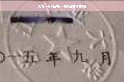 大专一级b证书(一级b证书有啥用)