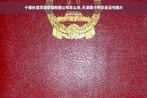 十堰长信项目管理有限公司怎么样,天津路小学毕业证书图片