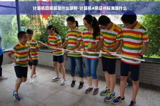 计算机四级算是什么级别-计算机4级证书标准是什么