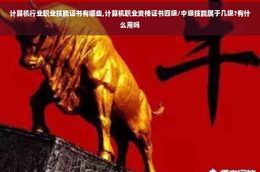 计算机行业职业技能证书有哪些,计算机职业资格证书四级/中级技能属于几级?有什么用吗