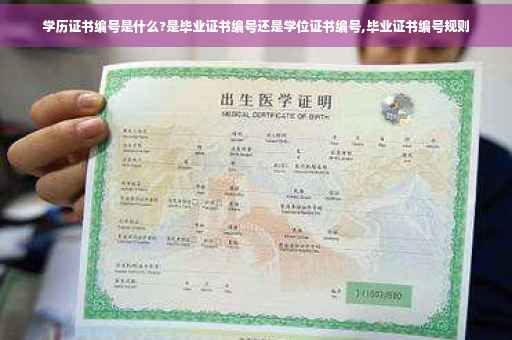 学历证书编号是什么?是毕业证书编号还是学位证书编号,毕业证书编号规则