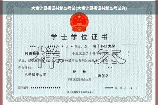 大专计算机证书怎么考试(大专计算机证书怎么考试的)