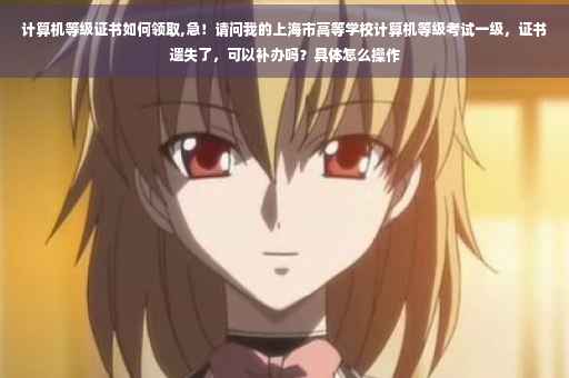 计算机等级证书如何领取,急！请问我的上海市高等学校计算机等级考试一级，证书遗失了，可以补办吗？具体怎么操作