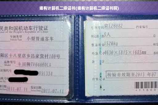 谁有计算机二级证书(谁有计算机二级证书啊)