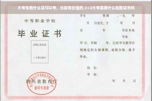 大专生有什么证可以考，比较有价值的,3+2大专需要什么技能证书吗