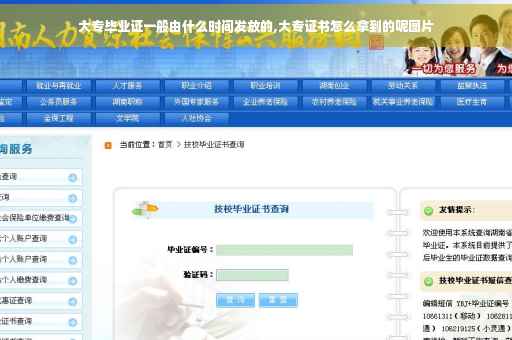 大专毕业证一般由什么时间发放的,大专证书怎么拿到的呢图片