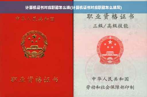 计算机证书对应职称怎么填(计算机证书对应职称怎么填写)