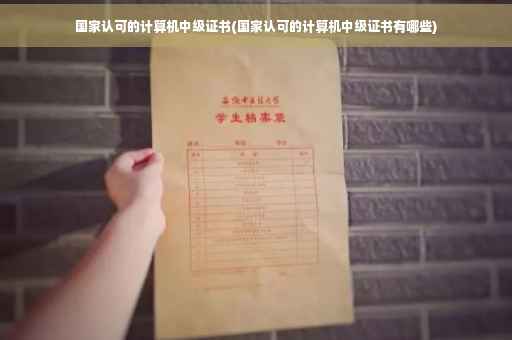 国家认可的计算机中级证书(国家认可的计算机中级证书有哪些)