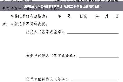 北京哪里可以办理网约车车证,延庆二小毕业证书照片图片