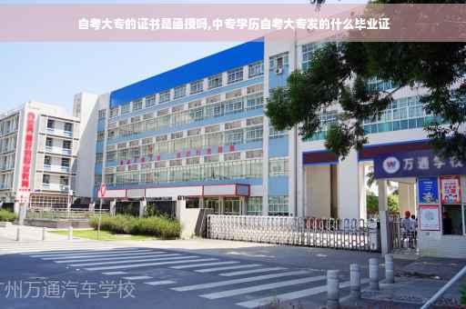 自考大专的证书是函授吗,中专学历自考大专发的什么毕业证