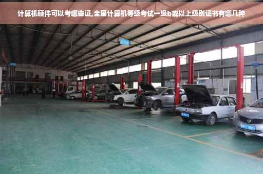 计算机硬件可以考哪些证,全国计算机等级考试一级b或以上级别证书有哪几种