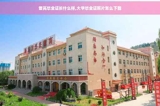 普高毕业证长什么样,大学毕业证照片怎么下载