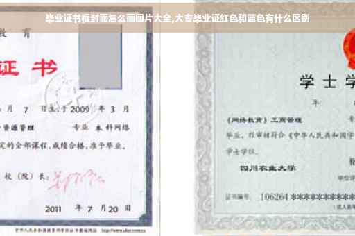 毕业证书框封面怎么画图片大全,大专毕业证红色和蓝色有什么区别
