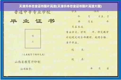 天津升本毕业证书图片高清(天津升本毕业证书图片高清大图)