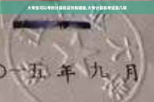 大专生可以考的计算机证书有哪些,大专计算机考试是几级
