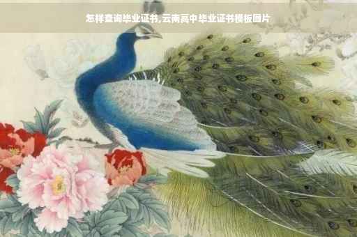 怎样查询毕业证书,云南高中毕业证书模板图片