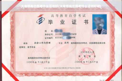 大专想有出路考什么证书好(大专想有出路考什么证书好呢)
