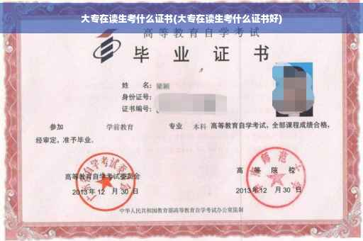 大专在读生考什么证书(大专在读生考什么证书好)