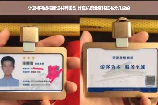 计算机初级技能证书有哪些,计算机职业资格证书分几级的