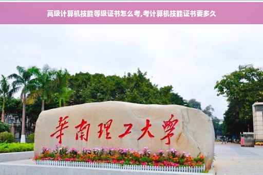 高级计算机技能等级证书怎么考,考计算机技能证书要多久