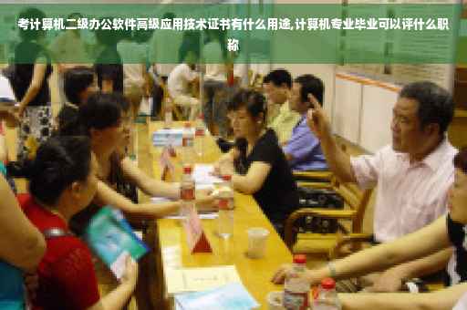考计算机二级办公软件高级应用技术证书有什么用途,计算机专业毕业可以评什么职称