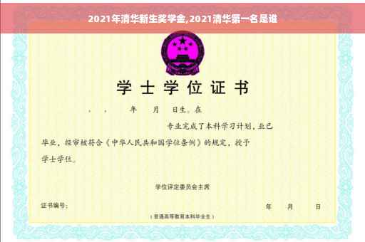 2021年清华新生奖学金,2021清华第一名是谁