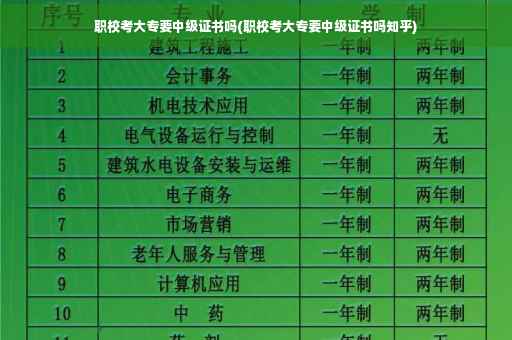 职校考大专要中级证书吗(职校考大专要中级证书吗知乎)