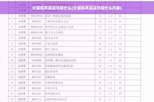 计算机双高证书指什么(计算机双高证书指什么内容)