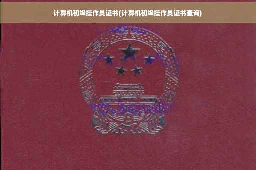 计算机初级操作员证书(计算机初级操作员证书查询)