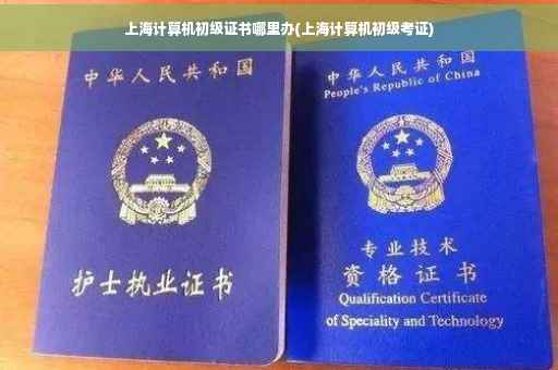 上海计算机初级证书哪里办(上海计算机初级考证)